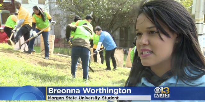 ASEZ Community Clean Up