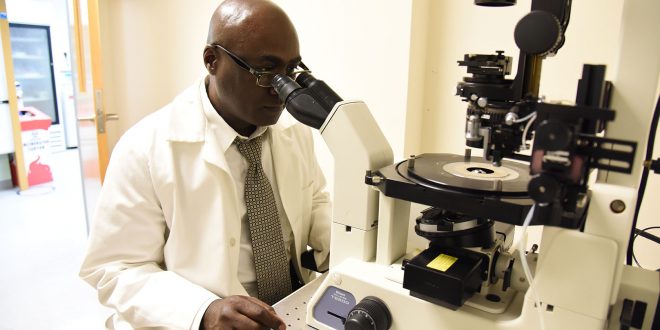 faculty member using a microscope